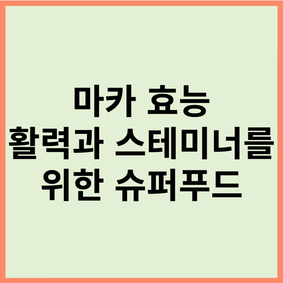 마카 효능 총정리! 활력과 스테미너를 위한 슈퍼푸드