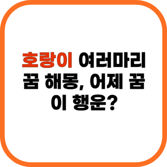 호랑이여러마리 꿈