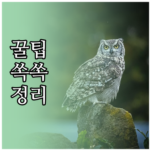 답답한 샤워기 교체, 혼자서도 충분히..