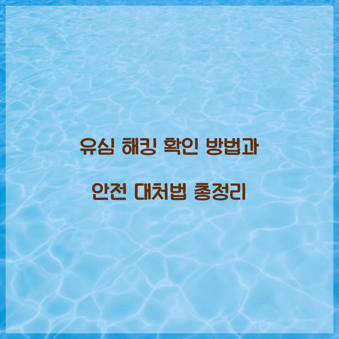 유심 해킹 확인 방법