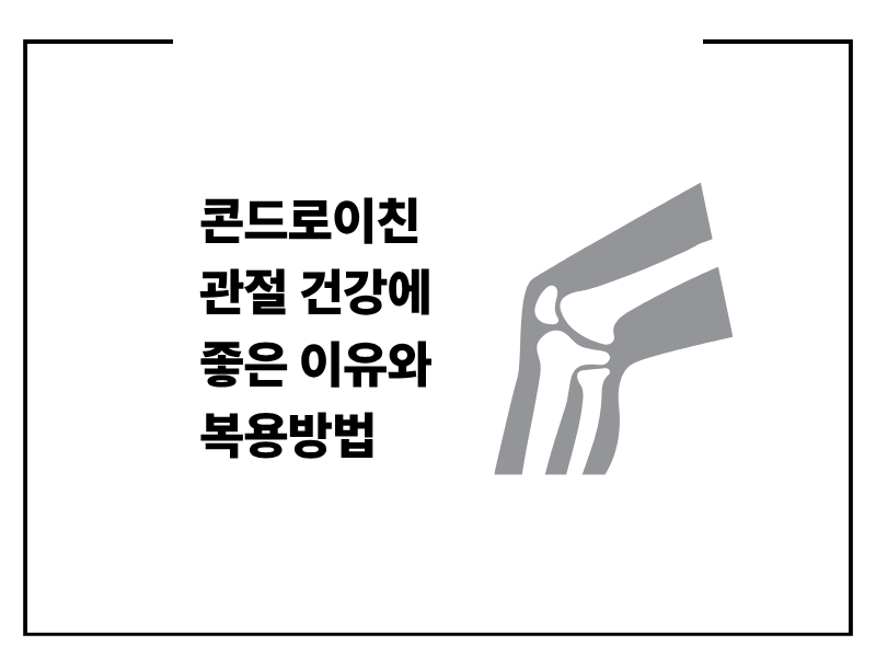 콘드로이친 관절 건강에 좋은 이유와 복용방법