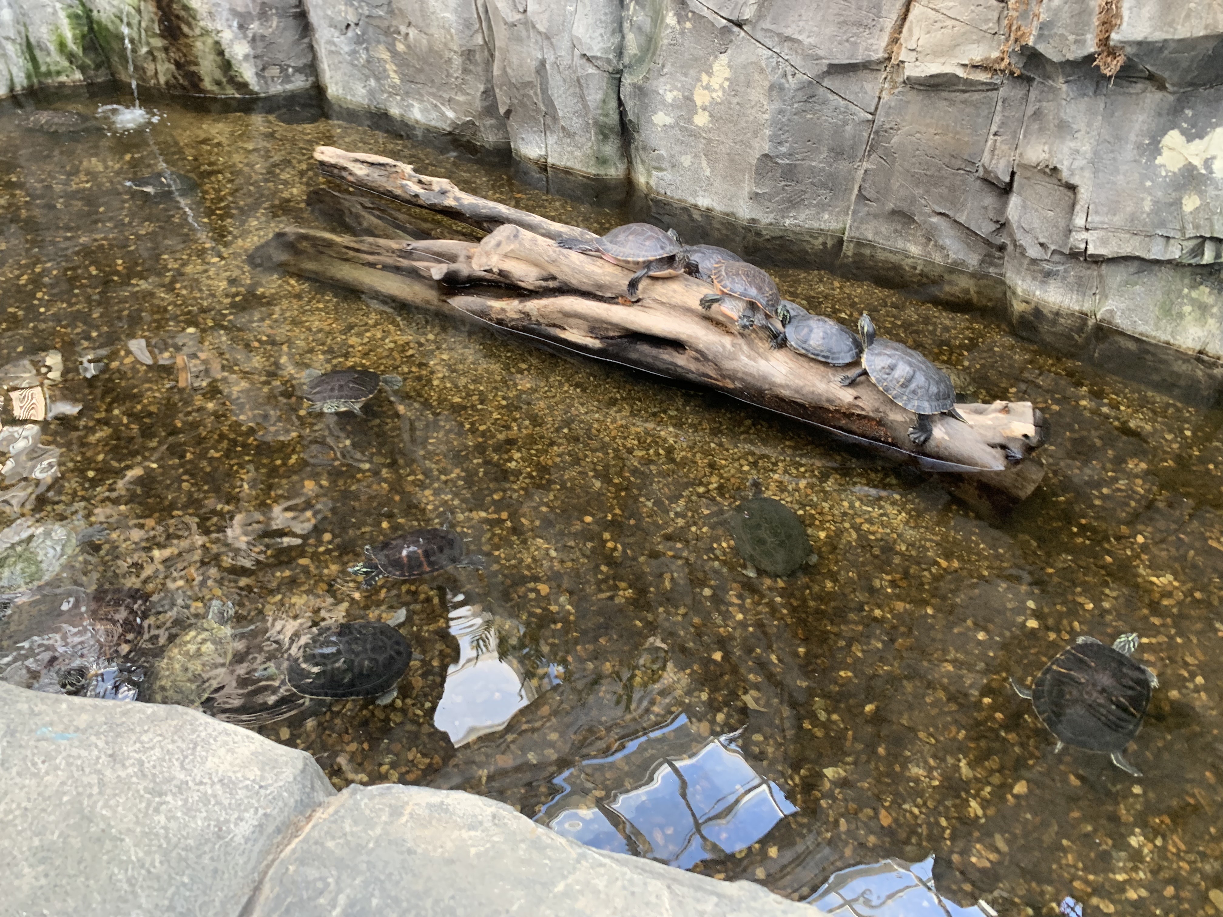 오산버드파크 할인 입장료 및 주차장 가족 여행 후기