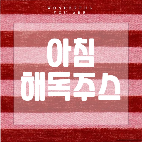 아침 해독주스 완벽 가이드: 건강 루틴의 시작