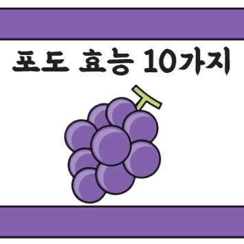 포도 효능