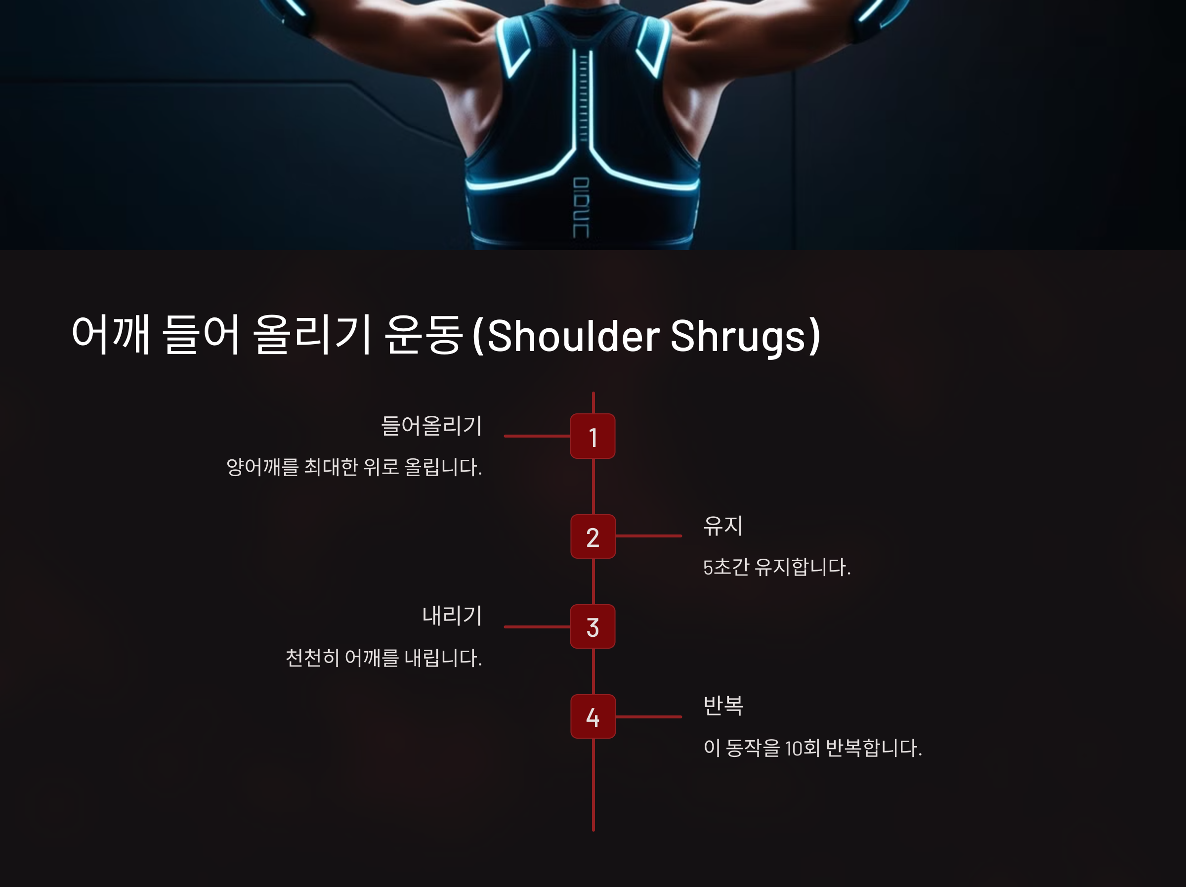 어깨 들어 올리기 운동 (Shoulder Shrugs)