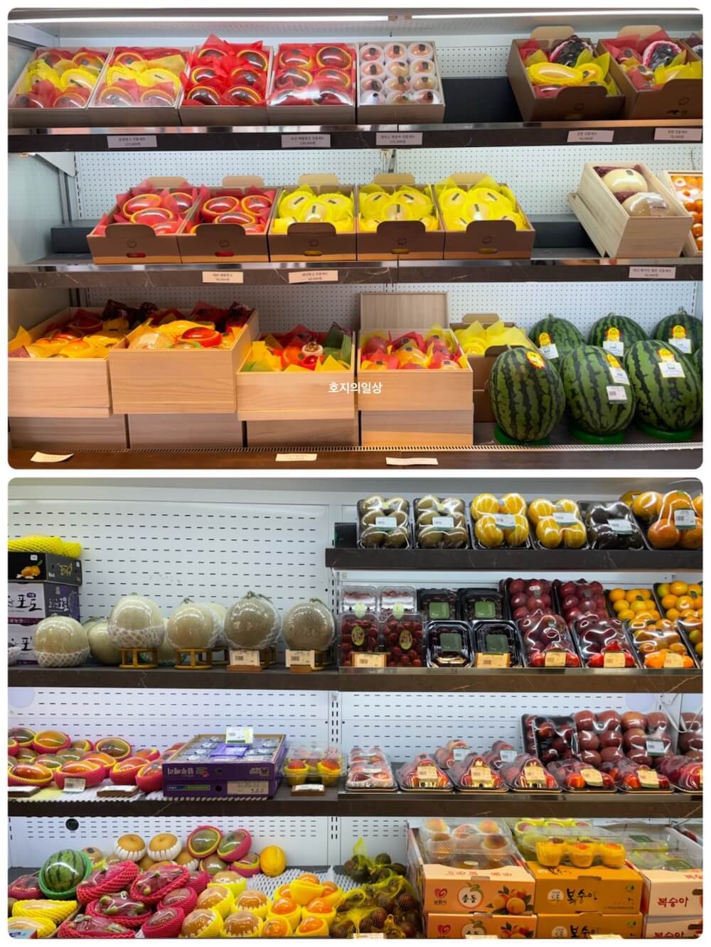 역삼 카페맛집 청담 아실 - 프리미엄 과일 판매 진열 냉장고