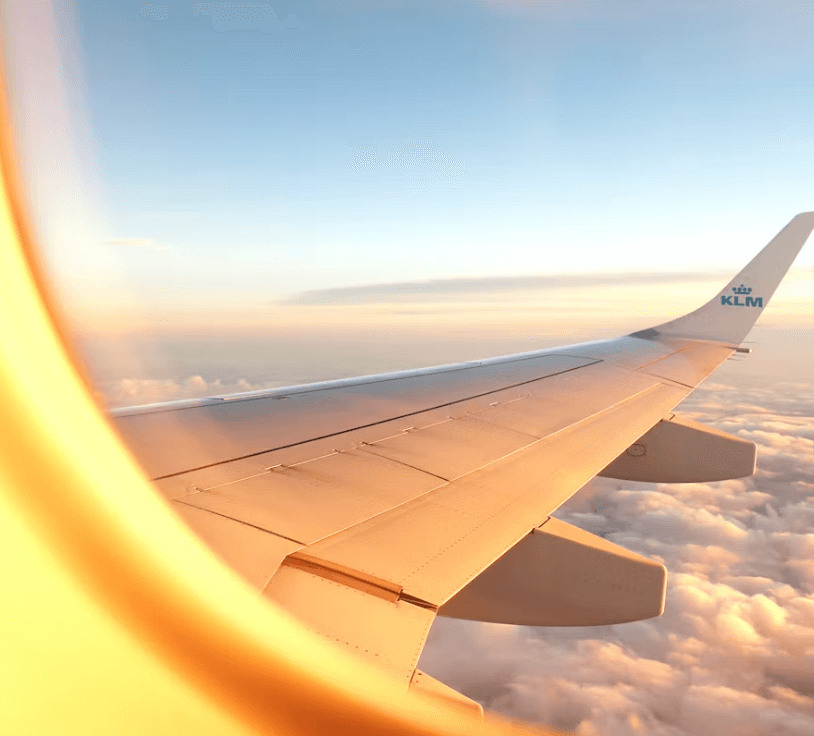 여권없을때 대처법