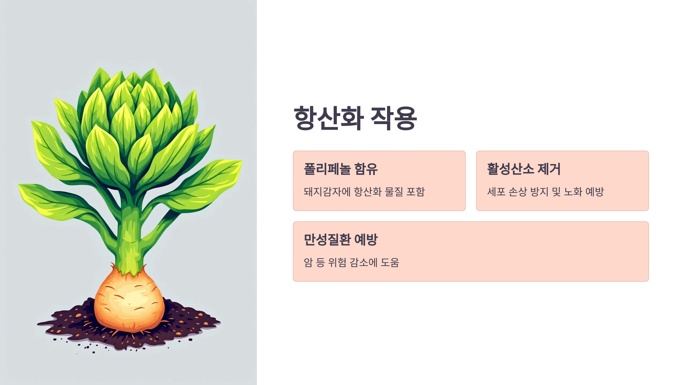 돼지감자차 사진입니다.