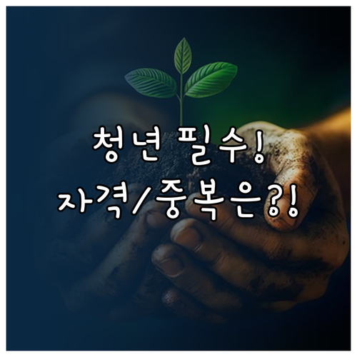 청년 정책 필수 자격: 나이 소득 기..