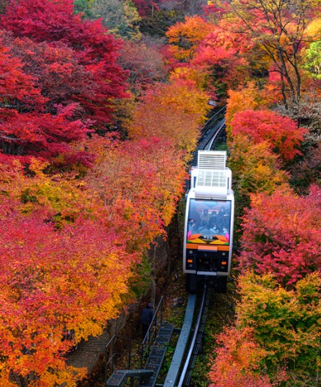 가을 단풍 명소 추천
