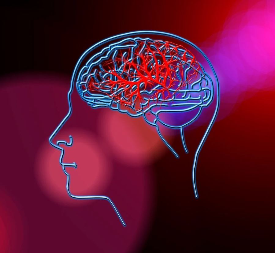 뇌로 가는 혈류 차단