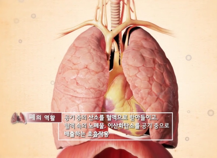 EBS명의-폐명의-임재준-교수-심태선-교수