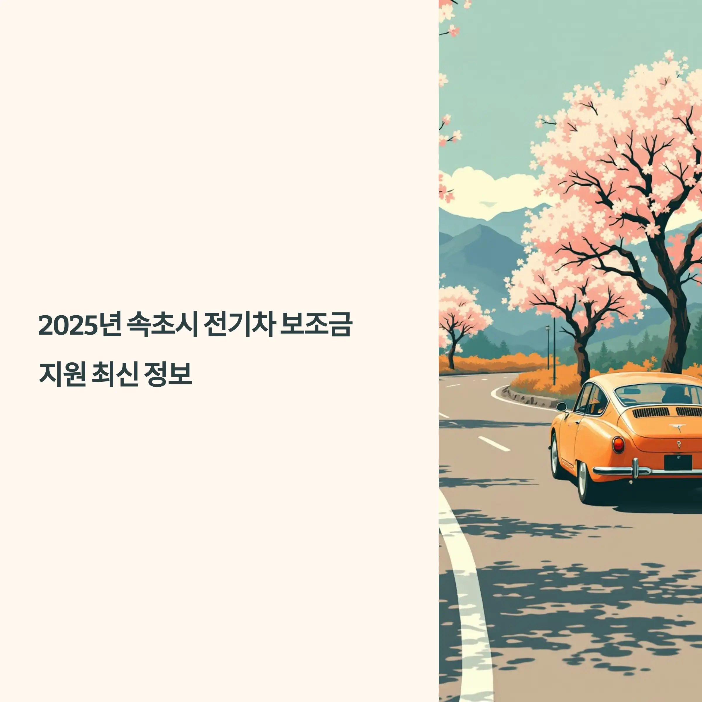 2025년 강원도 속초시 전기차 보조금 지원 BMW