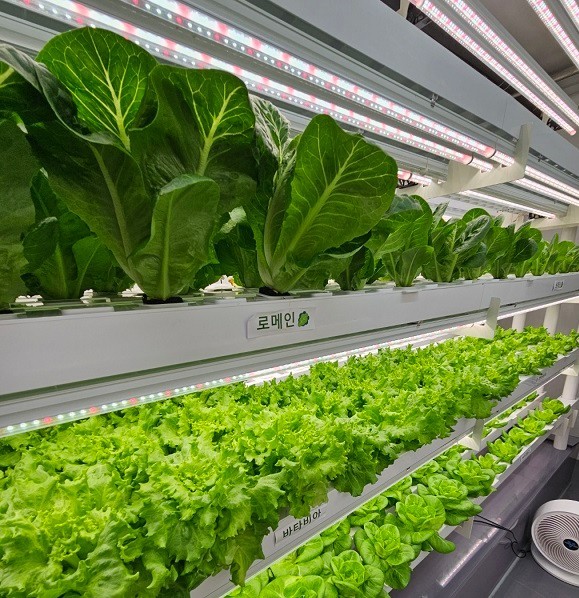 스마트농업 기술발전과 미래