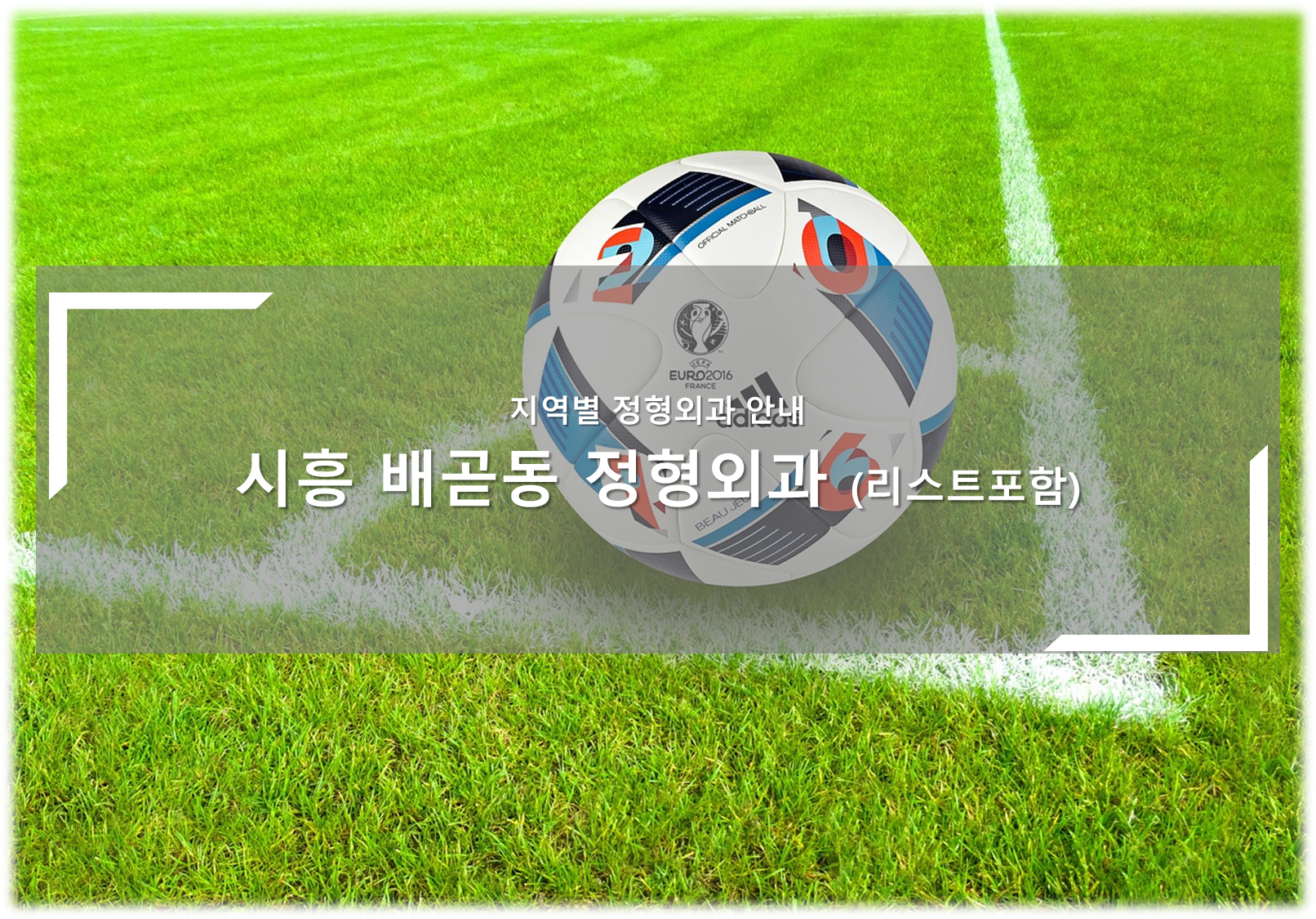 시흥 배곧동 정형외과의원 안내