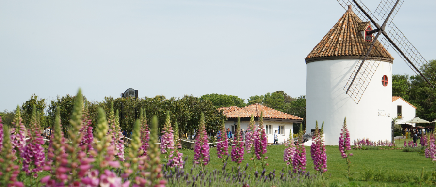 제주도 가볼만한곳 10곳