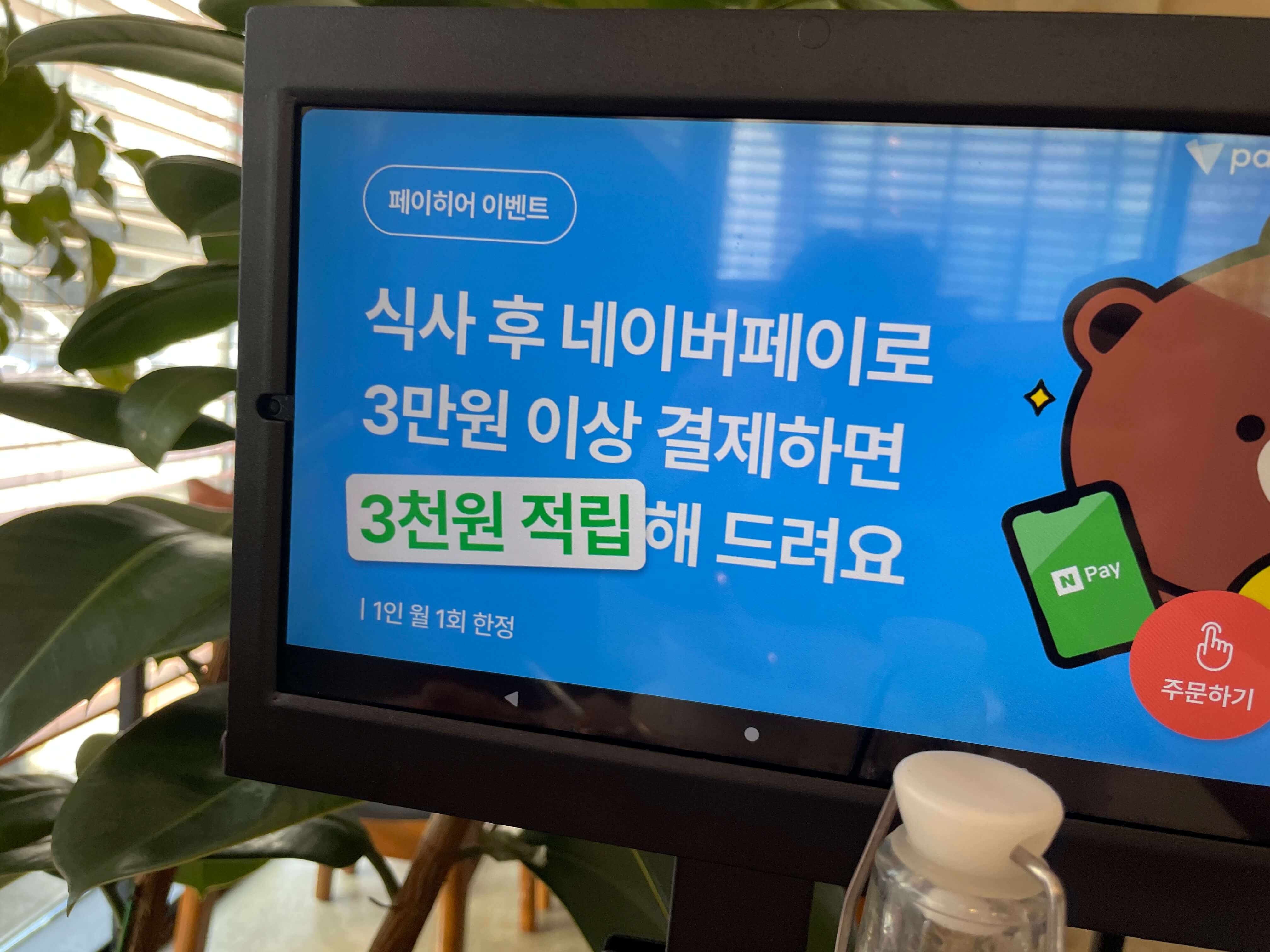 나폴리용