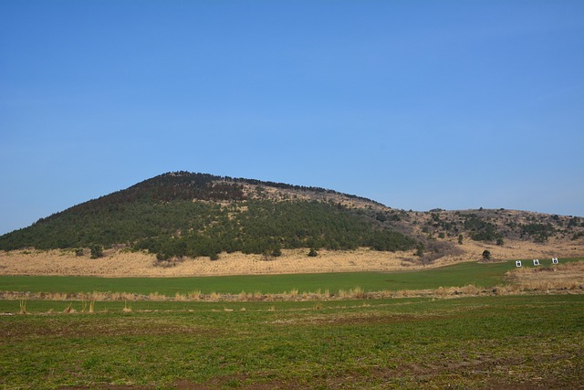 2025년 자라섬 꽃 페스타&amp;#44; 꽃으로 힐링하는 여정! 