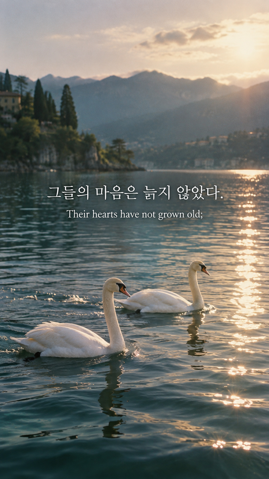윌리엄 버틀러 예이츠의 늙지 않는 생기에 관한 가을 글귀 &mdash; 한글과 영어 원문을 담은 아날로그 필름 사진