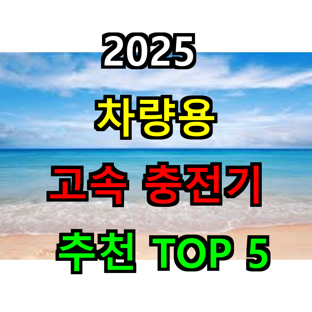 2025 차량용 고속충전기 추천 TOP5
