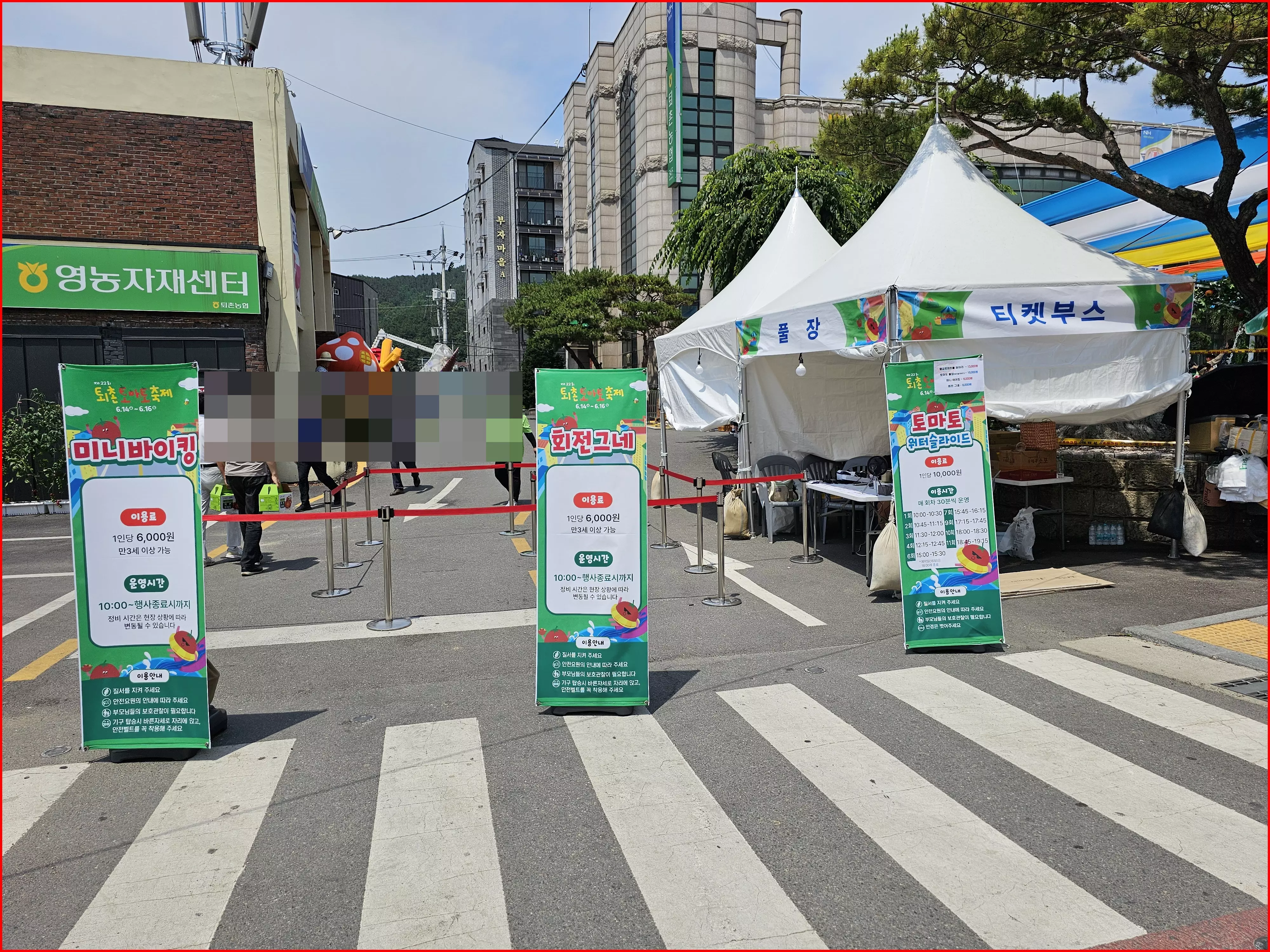 퇴촌 토마토 축제