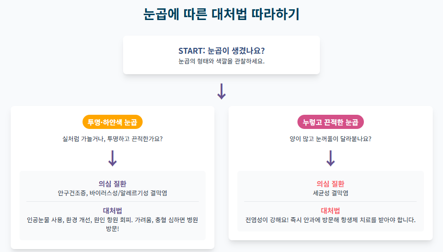 눈곱이 많이 껴요? 혹시 이런 이유 때문은 아닐까요? 원인별 관리법 A to Z