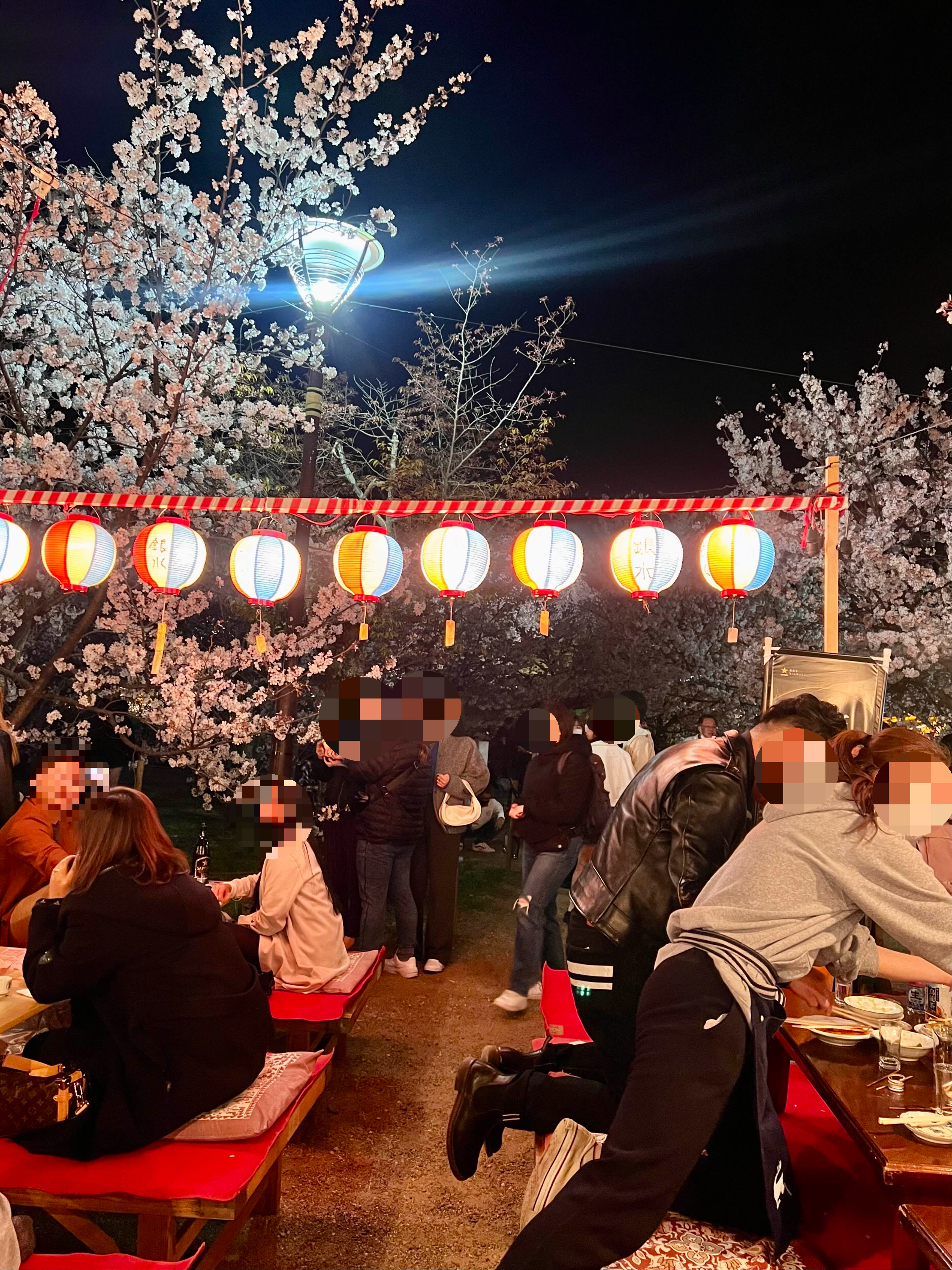 일본야시장 벚꽃축제 먹거리 맥주