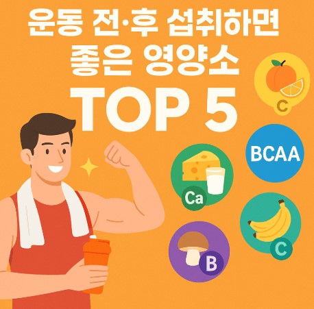 운동 전&middot;후 섭취하면 좋은 영양소 Top 5 사진
