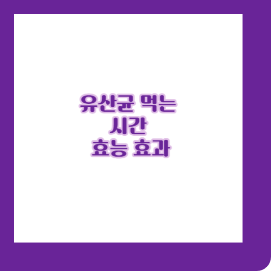 유산균 먹는 시간 효능 효과 추천