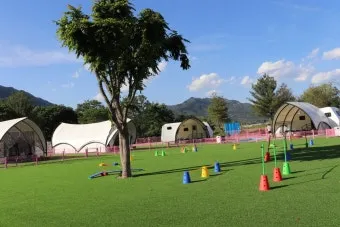 포천애견글램핑 포천 애견식당 당일치기 글램핑 해피캠핑 바베큐 바우어캠프 포천 완벽 체험_13