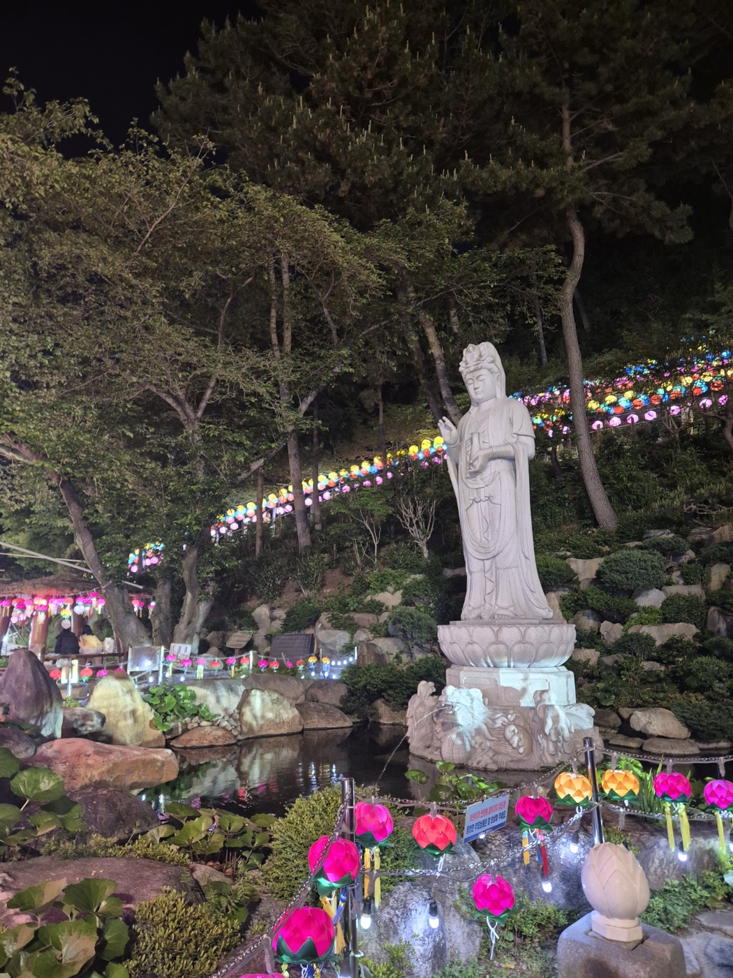 삼광사연등축제