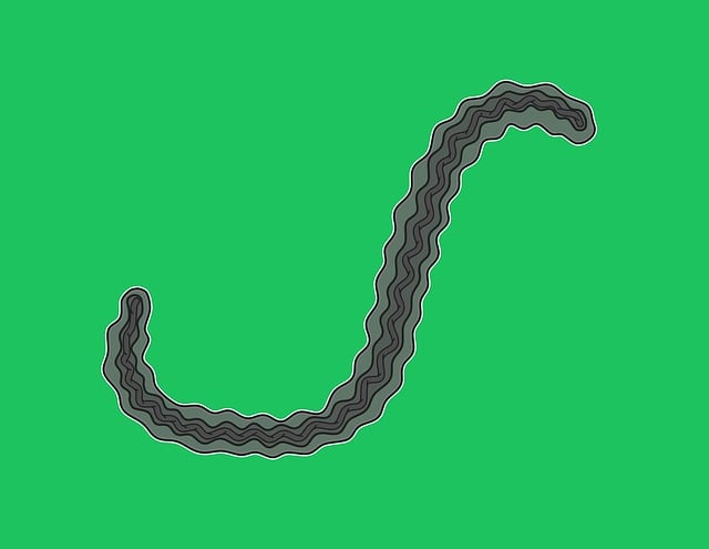 고관절 통증 증상 3