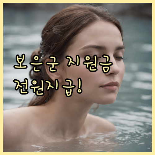 보은군 민생지원금 지원 대상 분류 및..