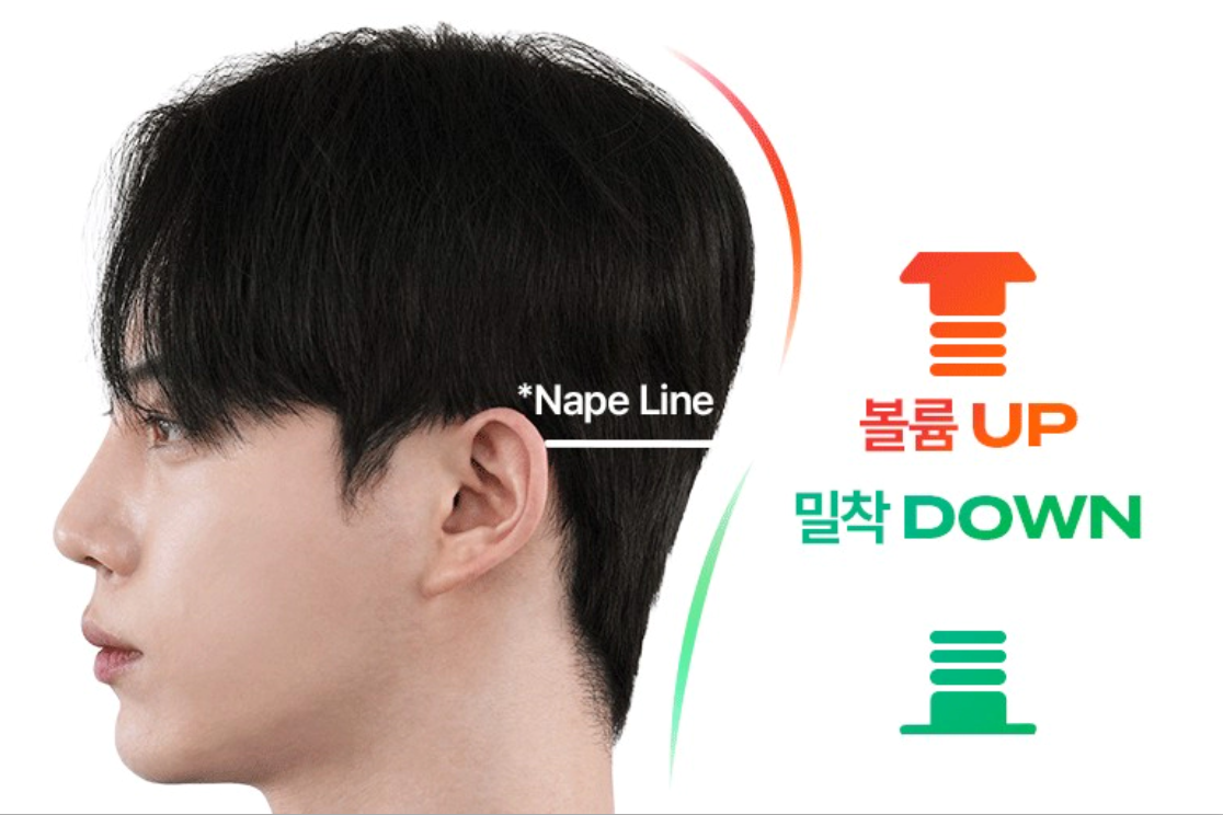 다슈 다운텍이란?