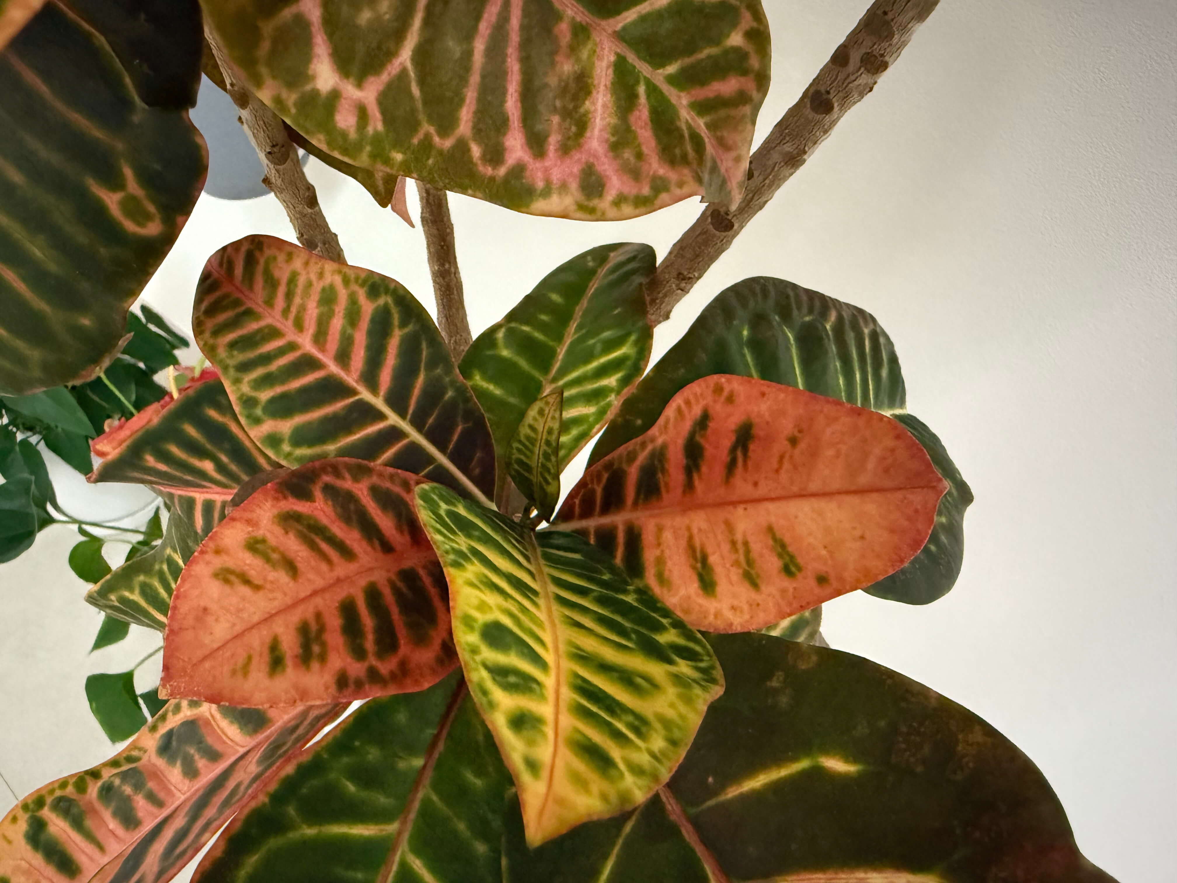 네이버 블로그를 추천 합니다