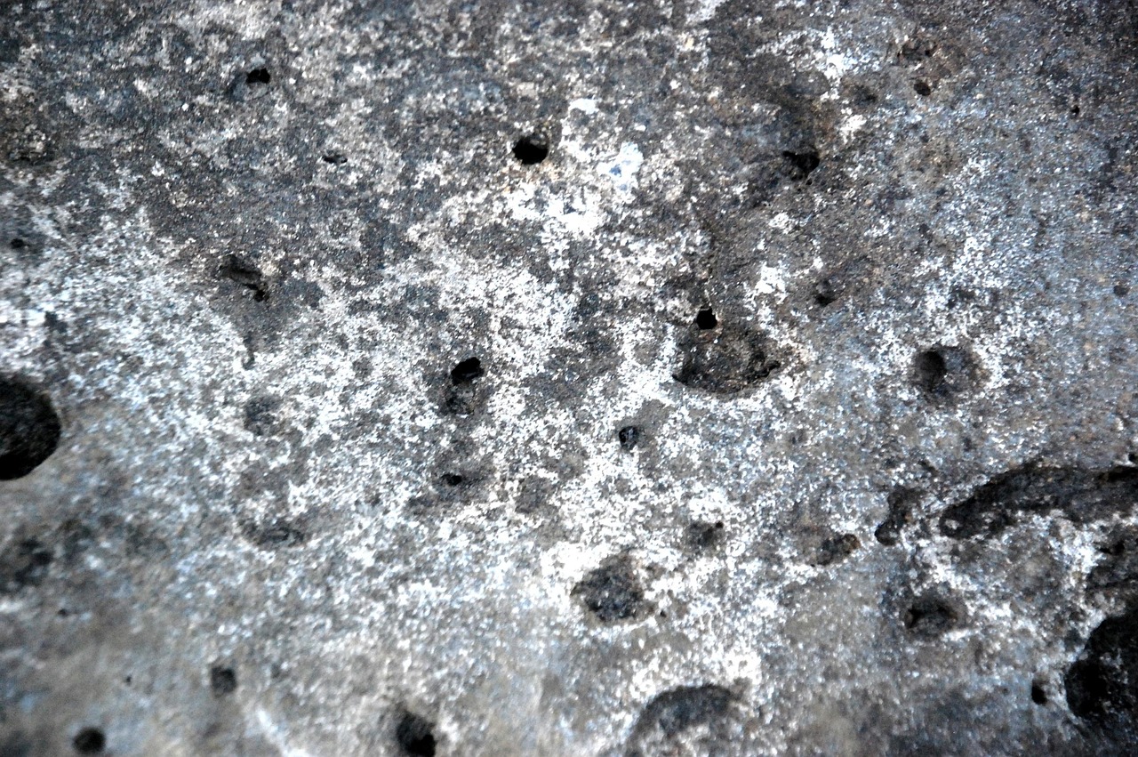 사랑니 발치 후 주의사항, 비용,실비보험,후 음식,후 통증, 전문병원,후 음주,후 드라이 소켓,시간