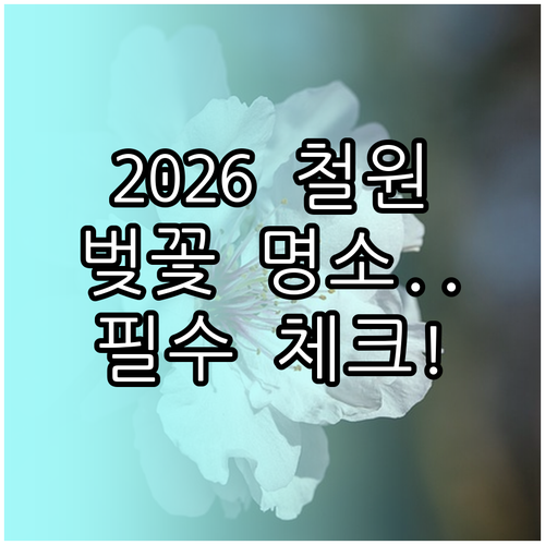 2026 철원 벚꽃 예상 시기와 지역..