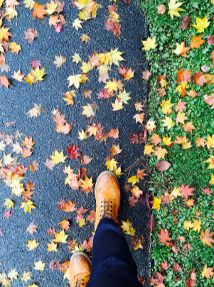 경기도 가을축제