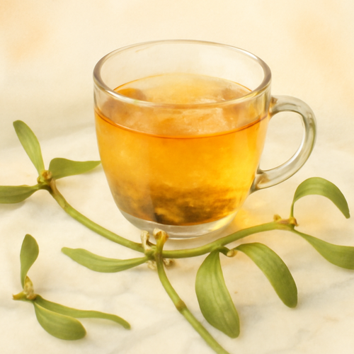 겨우살이차-주요-효능