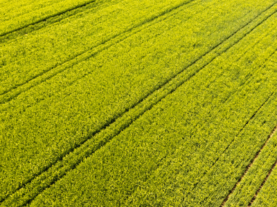농지연금 조건 및 신청방법 수령액 총정리