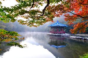 내장산단풍-1