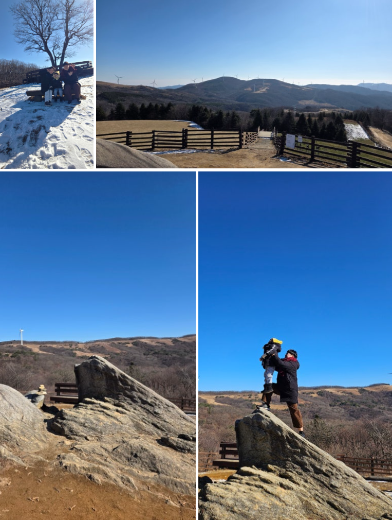 5세 아이와 함께한 대관령 삼양라운드힐