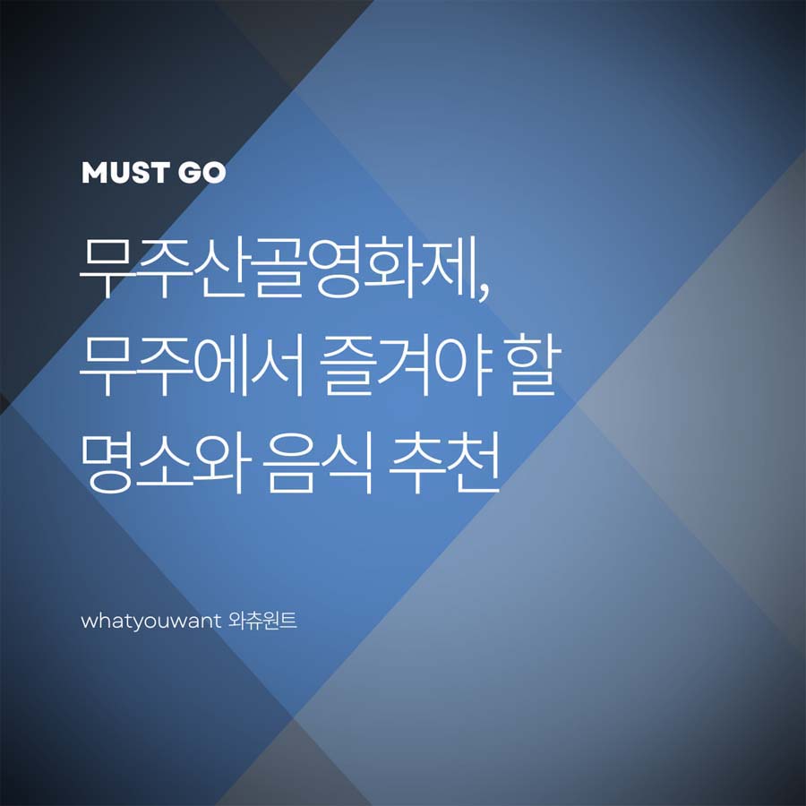 제13회 무주산골영화제
