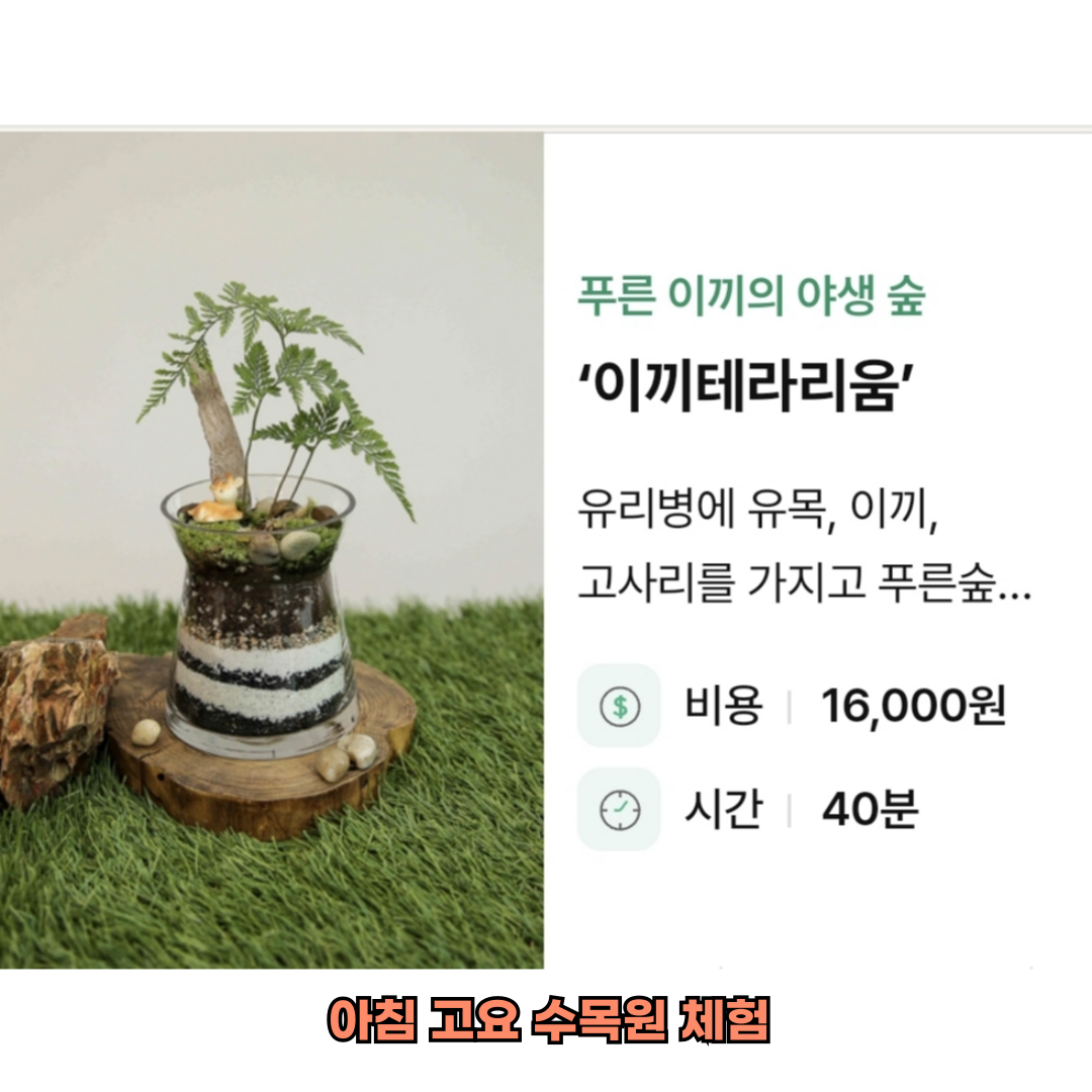 아침고요수목원 체험