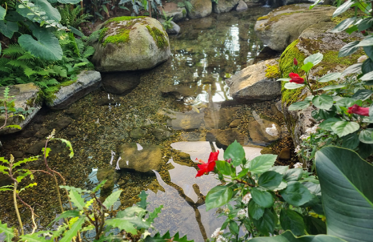 부천호수식물원 수피아