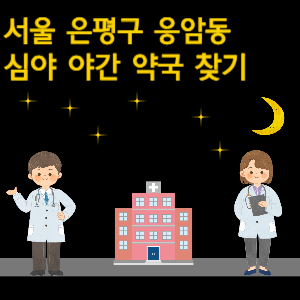 서울 은평구 응암동 심야 야간 24시 약국 찾기