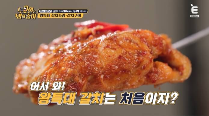 왕특대갈치