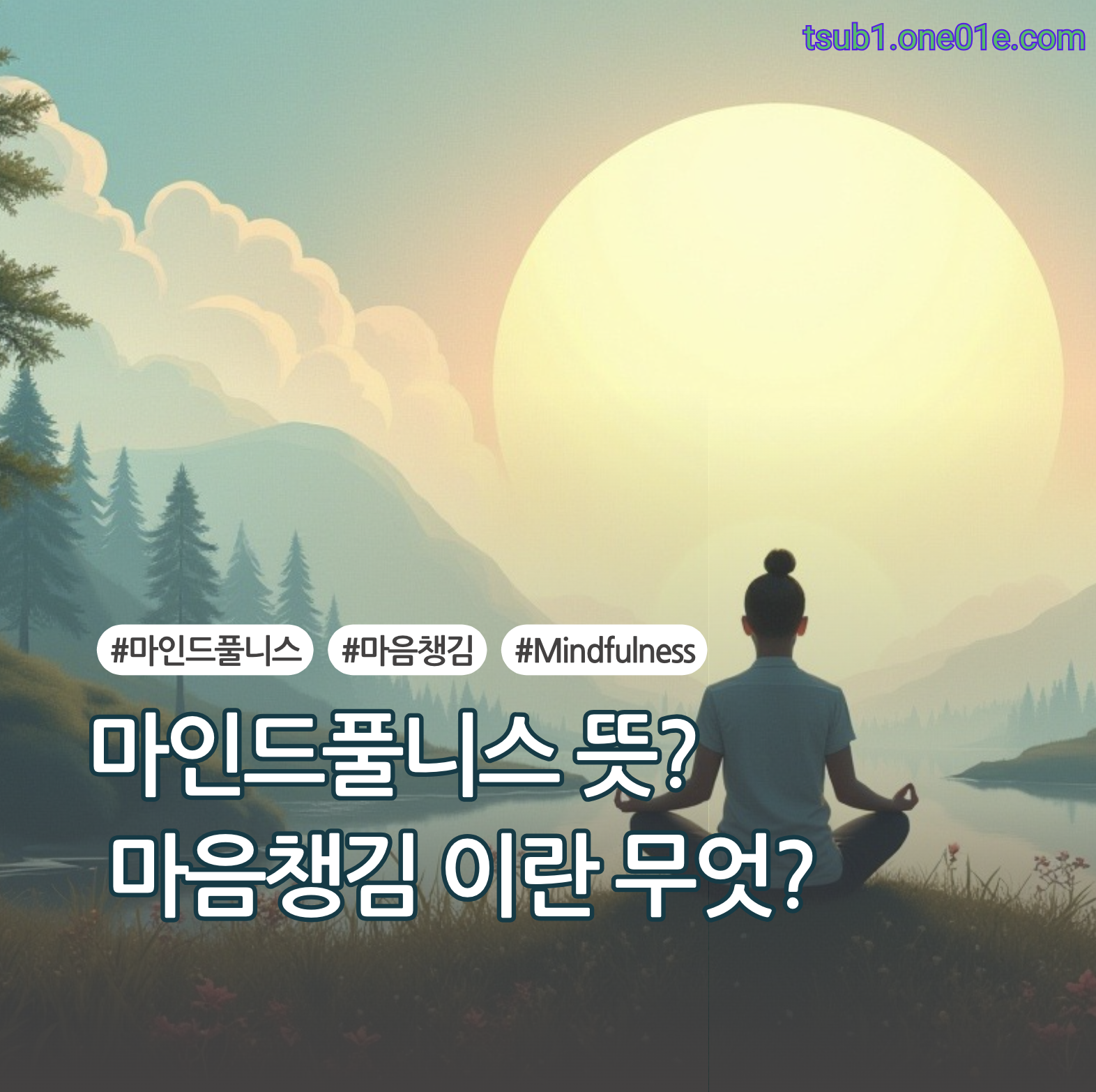 마인드풀니스(Mindfulness)란?