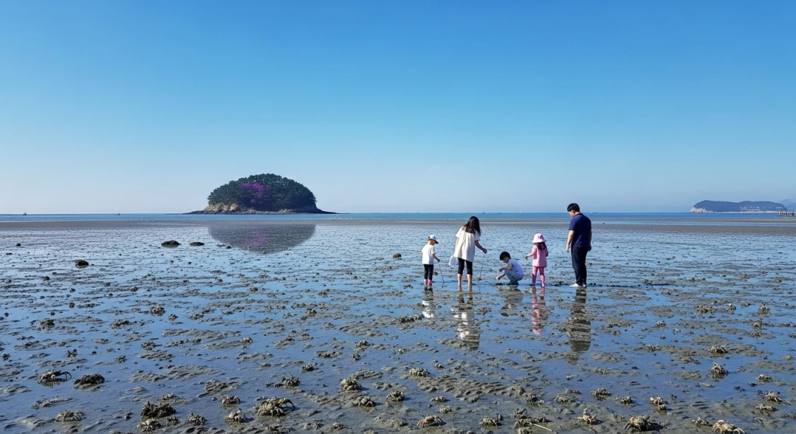 전남 신안 갯벌에서 아이들이 갯벌 생물을 관찰하며 생태 체험을 하는 모습.