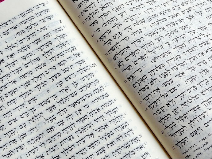 출애굽기 23장 안식년과 안식일